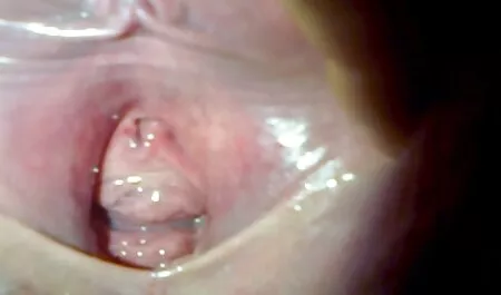 Nữ đầu bức ảnh phim sex nhat hay hd